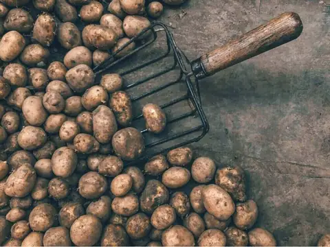 This Is What Happens When You Start Consuming Raw Potatoes