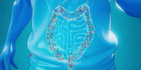 Research Suggests Memory Loss May Start in the Gut and Not the Brain